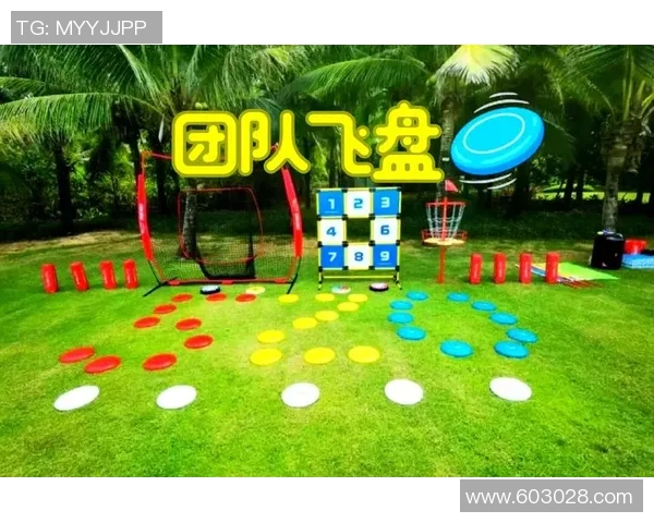 南京飞盘队的转型之路与飞盘运动的崛起探讨 南京飞盘队的转型之路与飞盘运动的崛起探讨