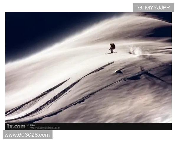 武汉极限运动队引领潮流最新极限运动战术十大榜单揭晓