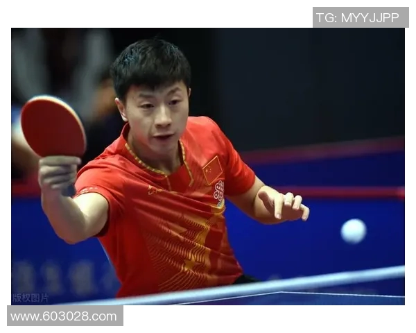 乒乓球奋斗史：广州乒乓球队的拼搏与荣耀之路全景记录