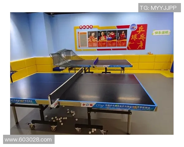 乒乓球爱好者必看训练器材推荐与选购指南助你提升技术水平 乒乓球爱好者必看训练器材推荐与选购指南助你提升技术水平