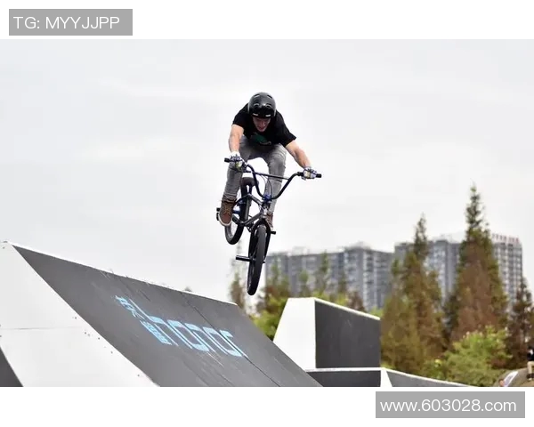 成都极限运动队包夹策略分析与得失评估探讨