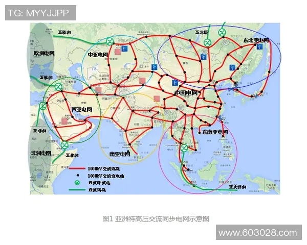 武汉极限运动队如何实现整体压制与革新突破的深度探讨与分析