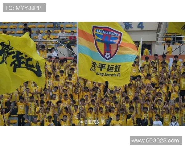 重庆排球队团队协作引发热议球迷对战术配合与默契度展开激烈讨论