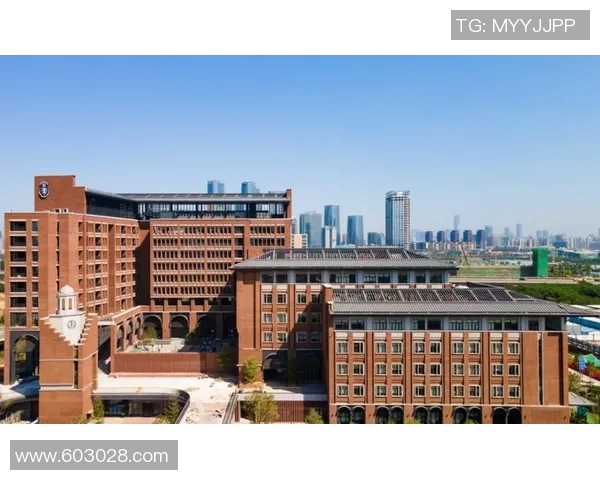 代怀博的成长之路与未来发展展望：从学术到实践的多维探索