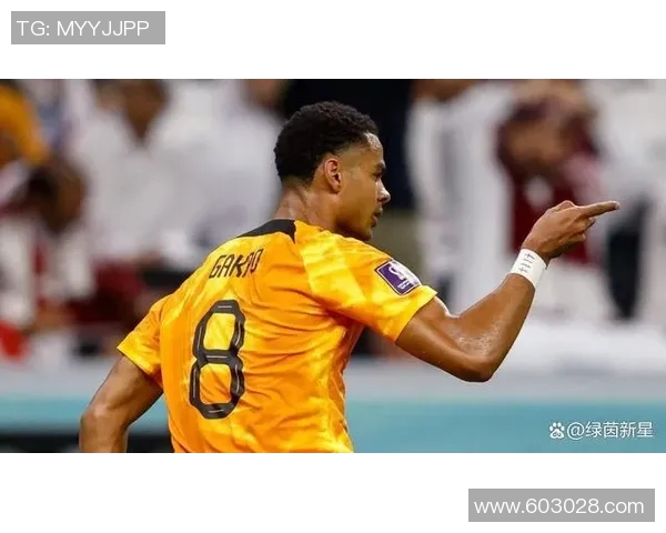 加克波：从新星崛起到足球巨星的成长之路与未来展望