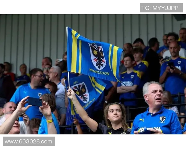 伯利与温布尔登的精彩对决揭示足球战术与团队精神的完美结合