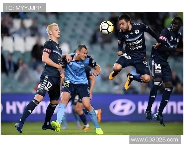 惠灵顿凤凰主场迎战中部海岸球队期待精彩对决与胜利之争