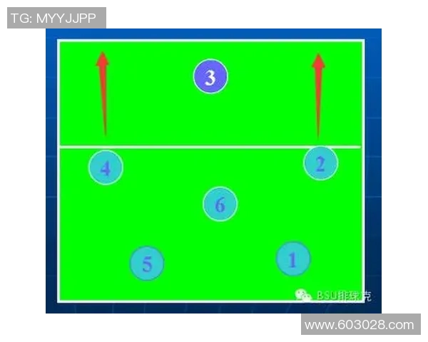 重庆排球队战术揭秘：排球巨献背后的团队智慧与技术分析