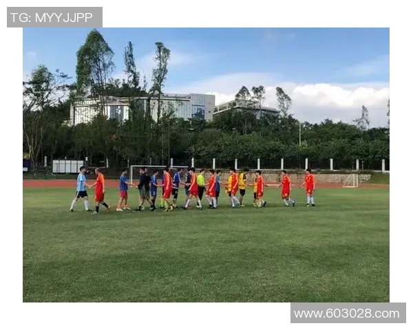 北京乒乓球队灵活性变革引发热议探索新发展路径与训练模式MBA