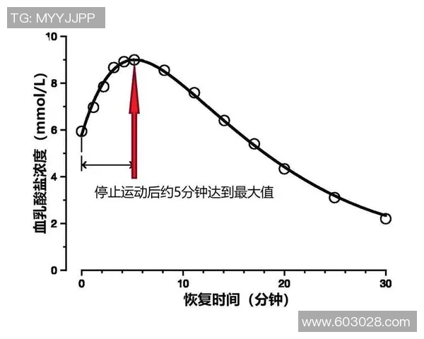 北京足球队耐力提升之路探索与实践分析