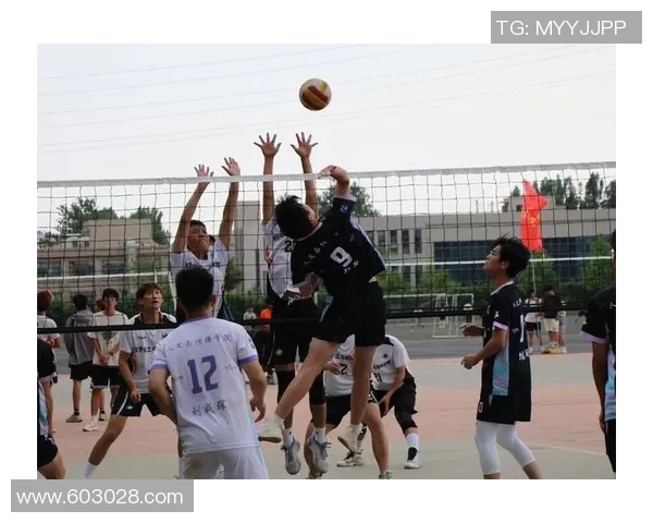 武汉排球队技术实力提升排球技术排行榜中荣获第八名佳绩